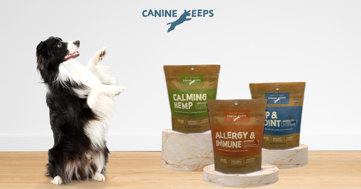 
      Canine Keeps | Play for Keeps With Your Dog's Health
