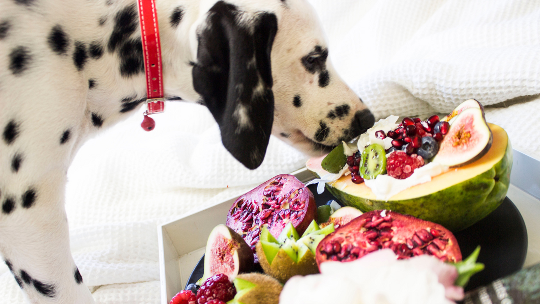 Unleash the Superpowers of Quercetin for Your Pooch: Benefits and Dosage Guide