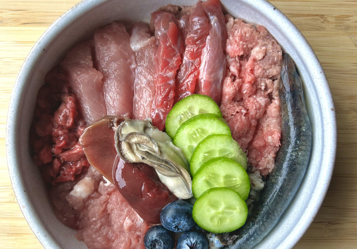 The Benefits of a Raw Diet for Dogs