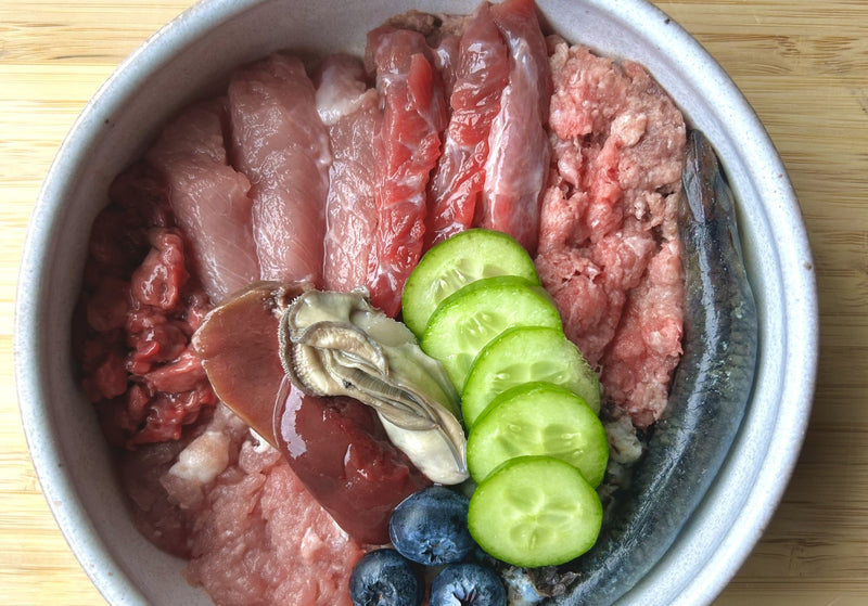 The Benefits of a Raw Diet for Dogs