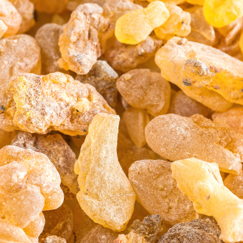Boswellia Serrata