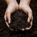 Humic & fulvic acids