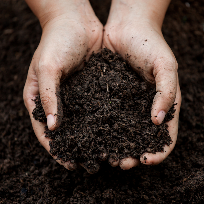 Humic & Fulvic Acids (Humiplex)
