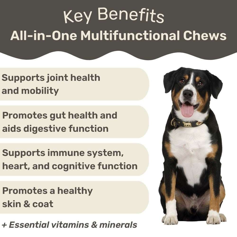 Canine Keeps All-in-One Multifunctional Chews Key Benefits
