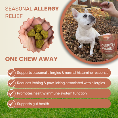 Allergy & Immune Support Chews