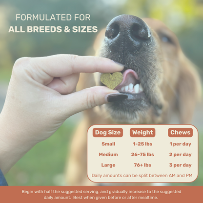 Allergy & Immune Support Chews