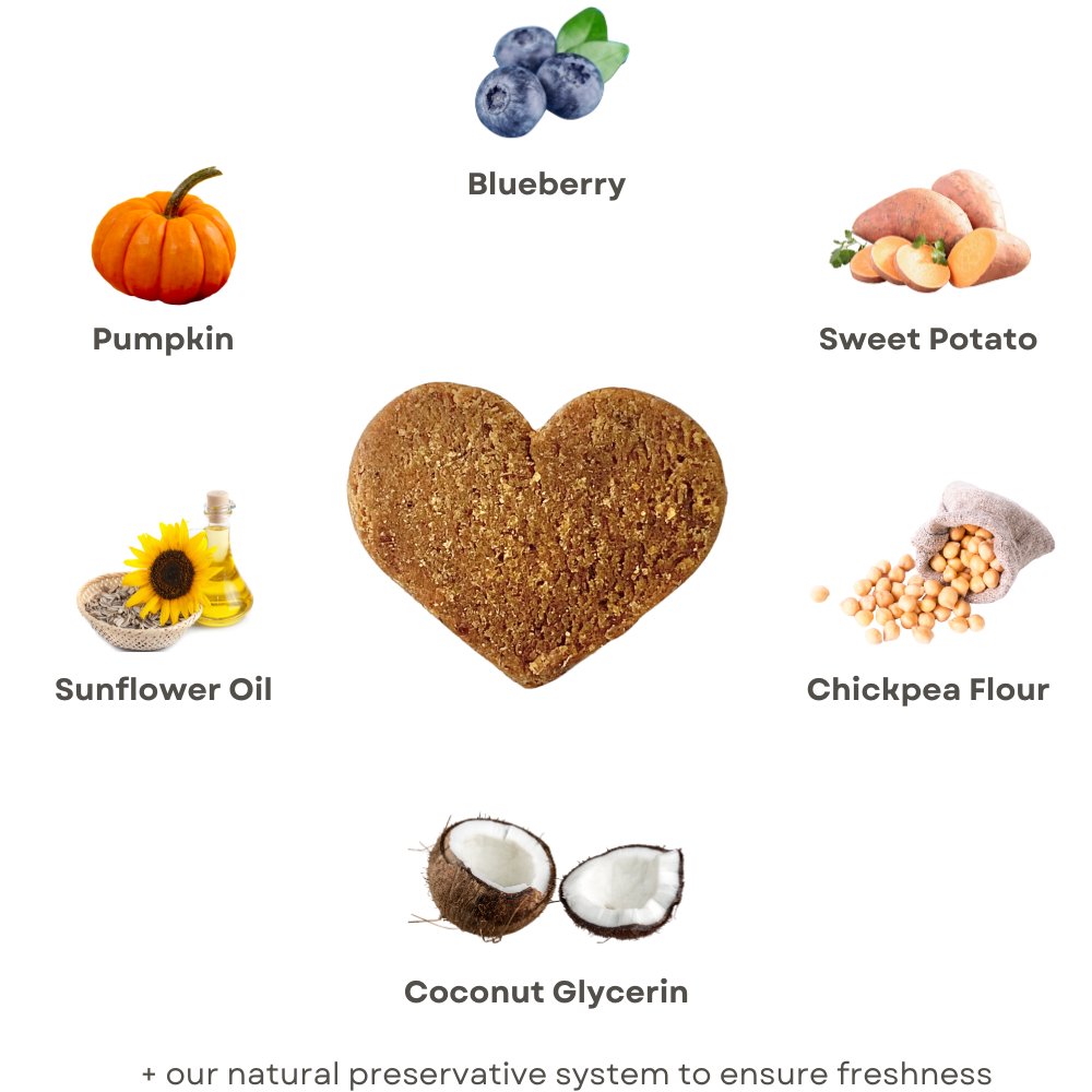 Our healthy base blend of ingredients contains superfoods like blueberry, pumpkin, and sweet potato