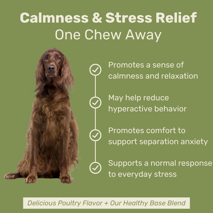 Calming Hemp Behavioral Chews