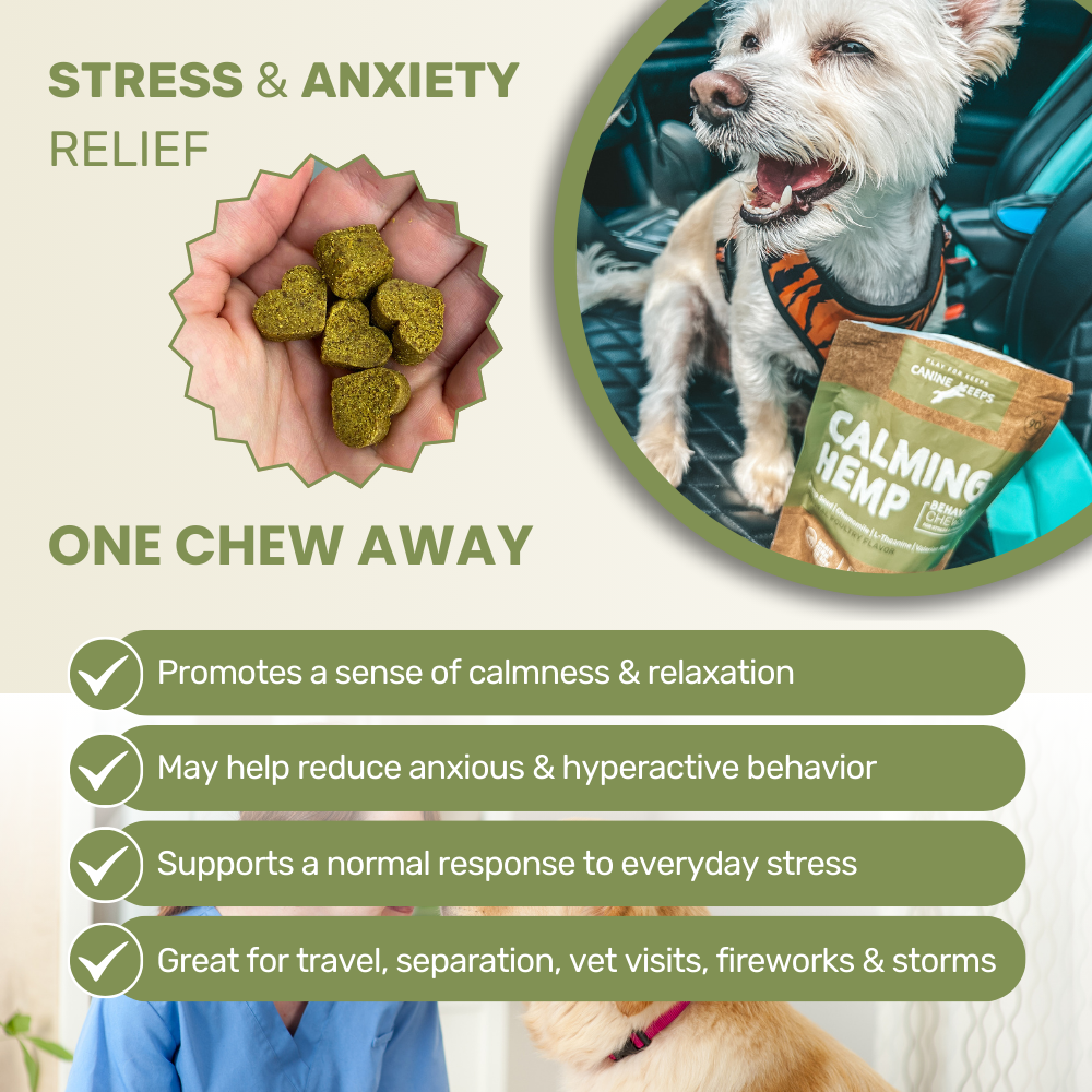 Calming Hemp Behavioral Chews