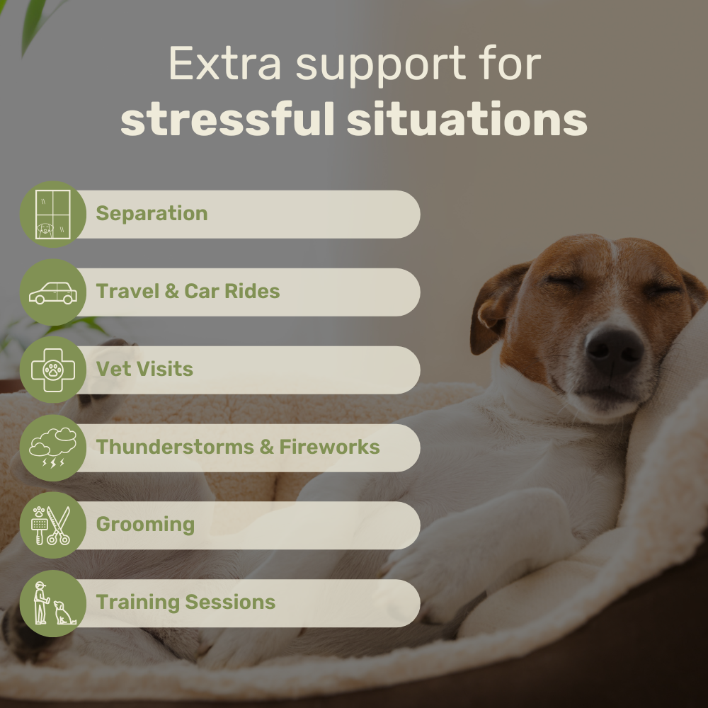 Calming Hemp Behavioral Chews