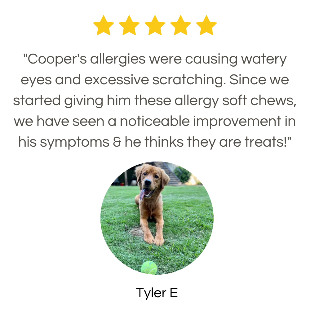 "Cooper's allergies were causing watery eyes and excessive scratching.  Since we started giving him these allergy soft chews, we have seen a noticeable improvement in his symptoms & he thinks they are treats!"