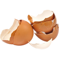 Eggshell membrane