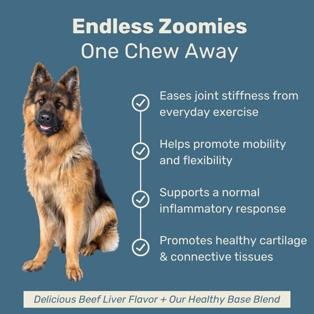 Hip & Joint Mobility Chews