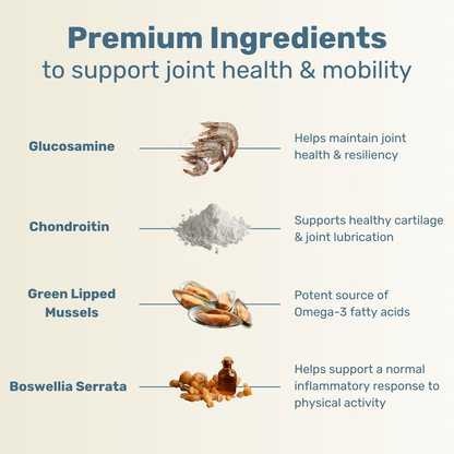 Hip & Joint Mobility Chews