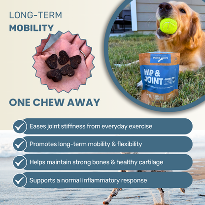 Hip & Joint Mobility Chews