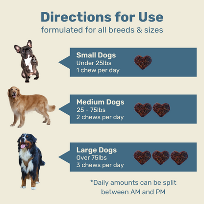 Hip & Joint Mobility Chews