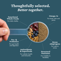 Spoon with health ingredients and text about functional whole-foods, omega-3s, pre& probiotics, antioxidants, structural nutrients on a blue background.