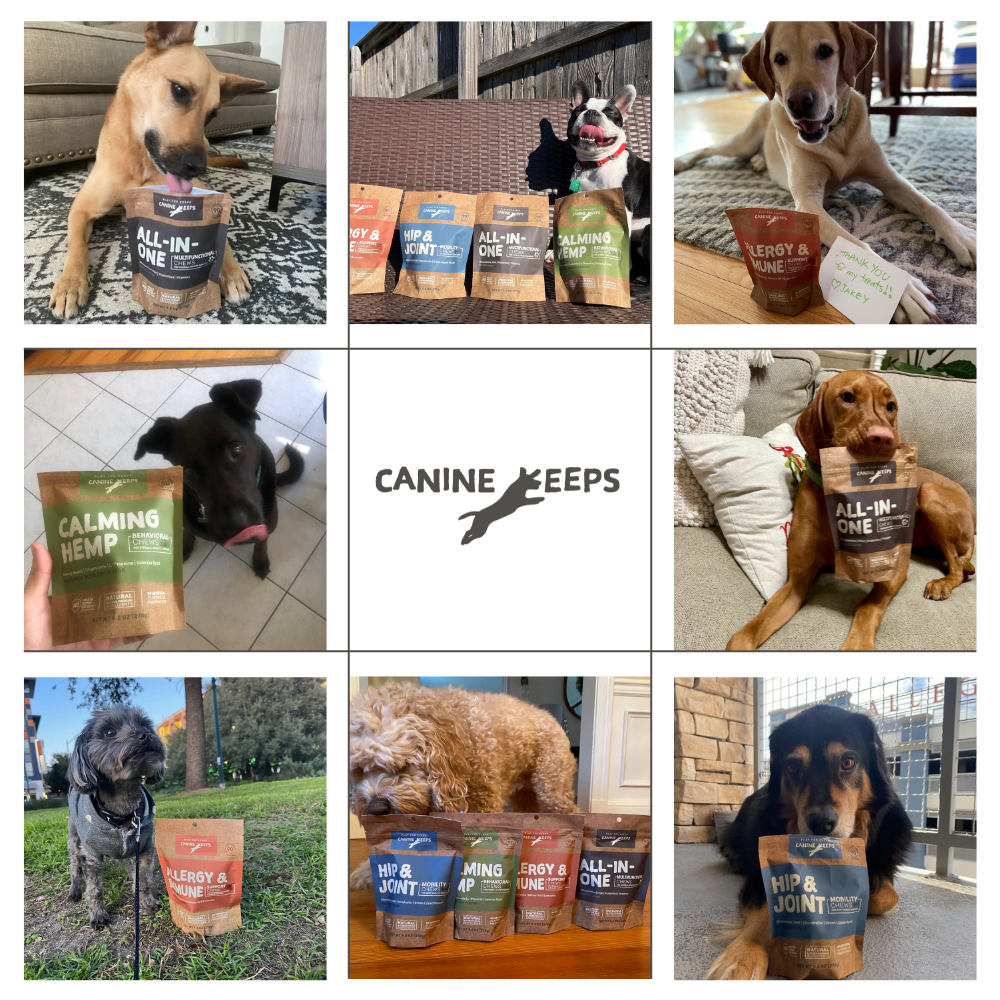 Happy dogs with Canine Keeps soft chew supplements