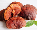 Reishi mushroom
