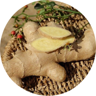 Ginger Root