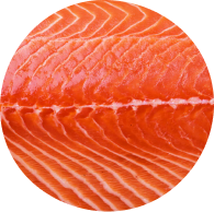 Wild Alaskan Salmon Oil